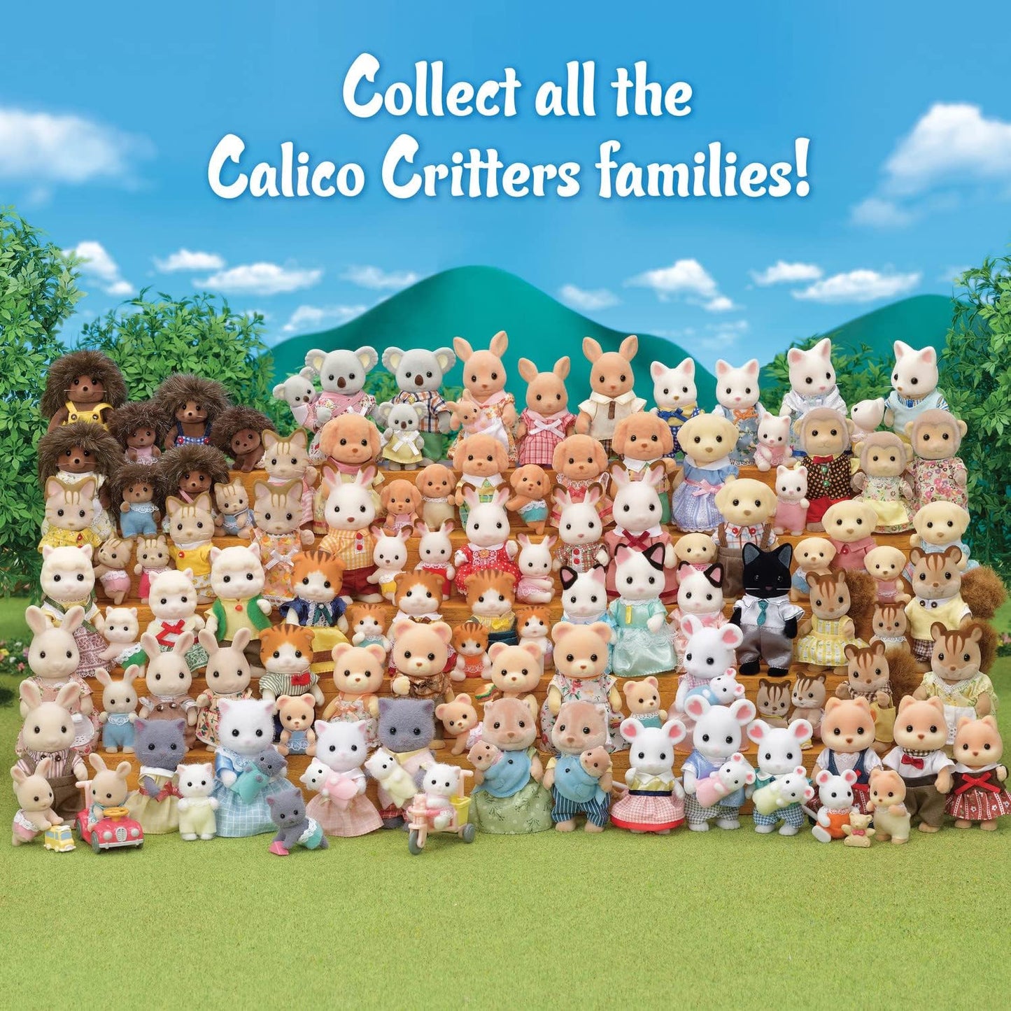 Bear Family