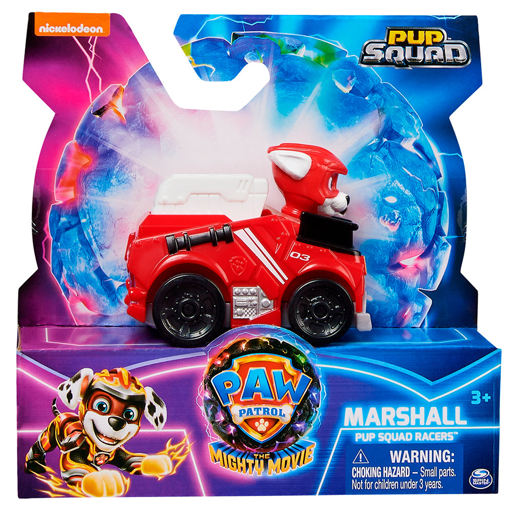 Paw Patrol - Pup Squad Racers Themed assorted