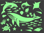 Sea Animal Everyday Set