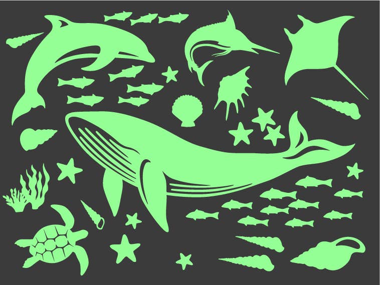 Sea Animal Everyday Set