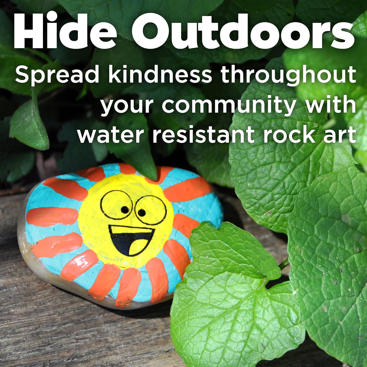 Hide & Seek Dot-a-Rock Painting Kit