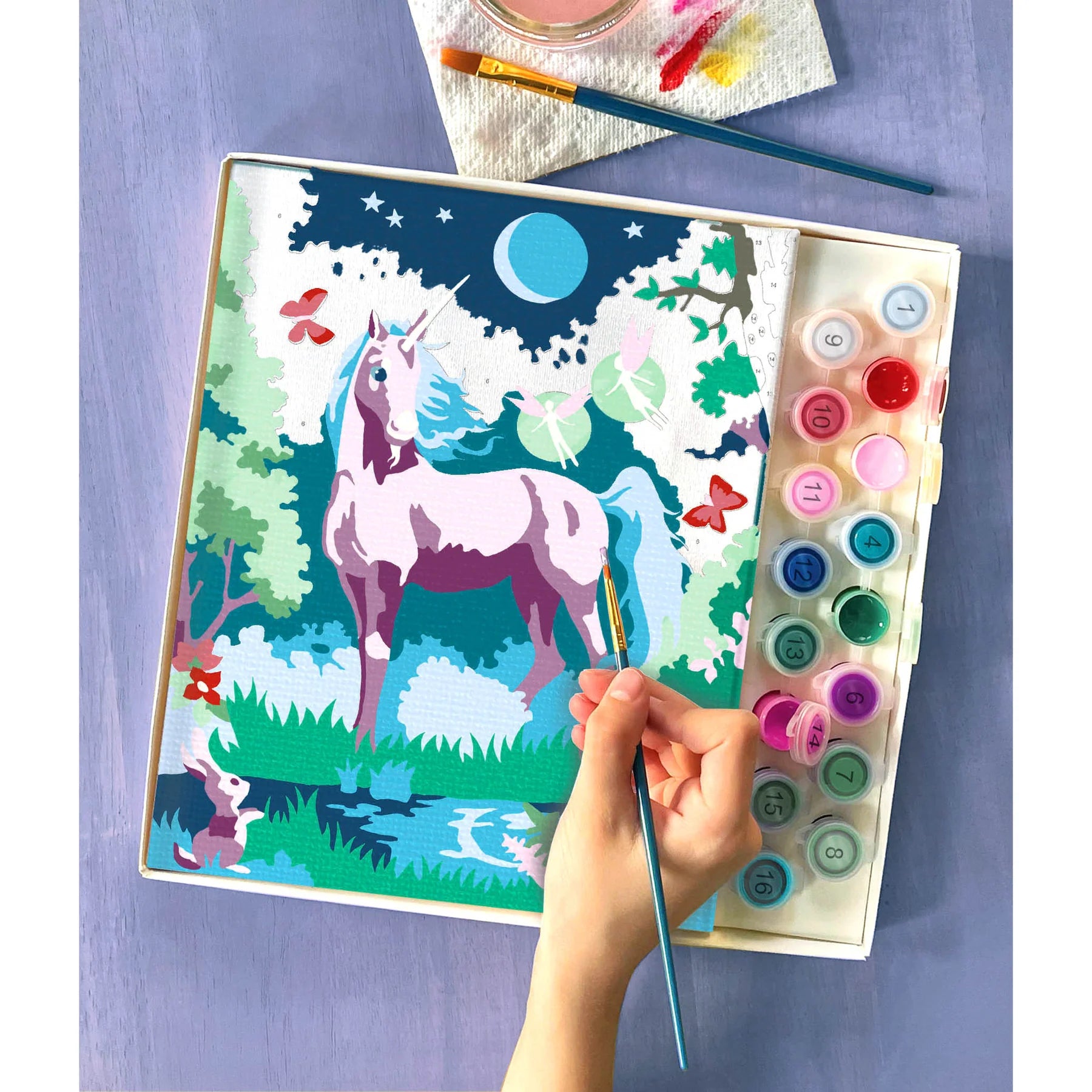 Paint By Numbers Assorted