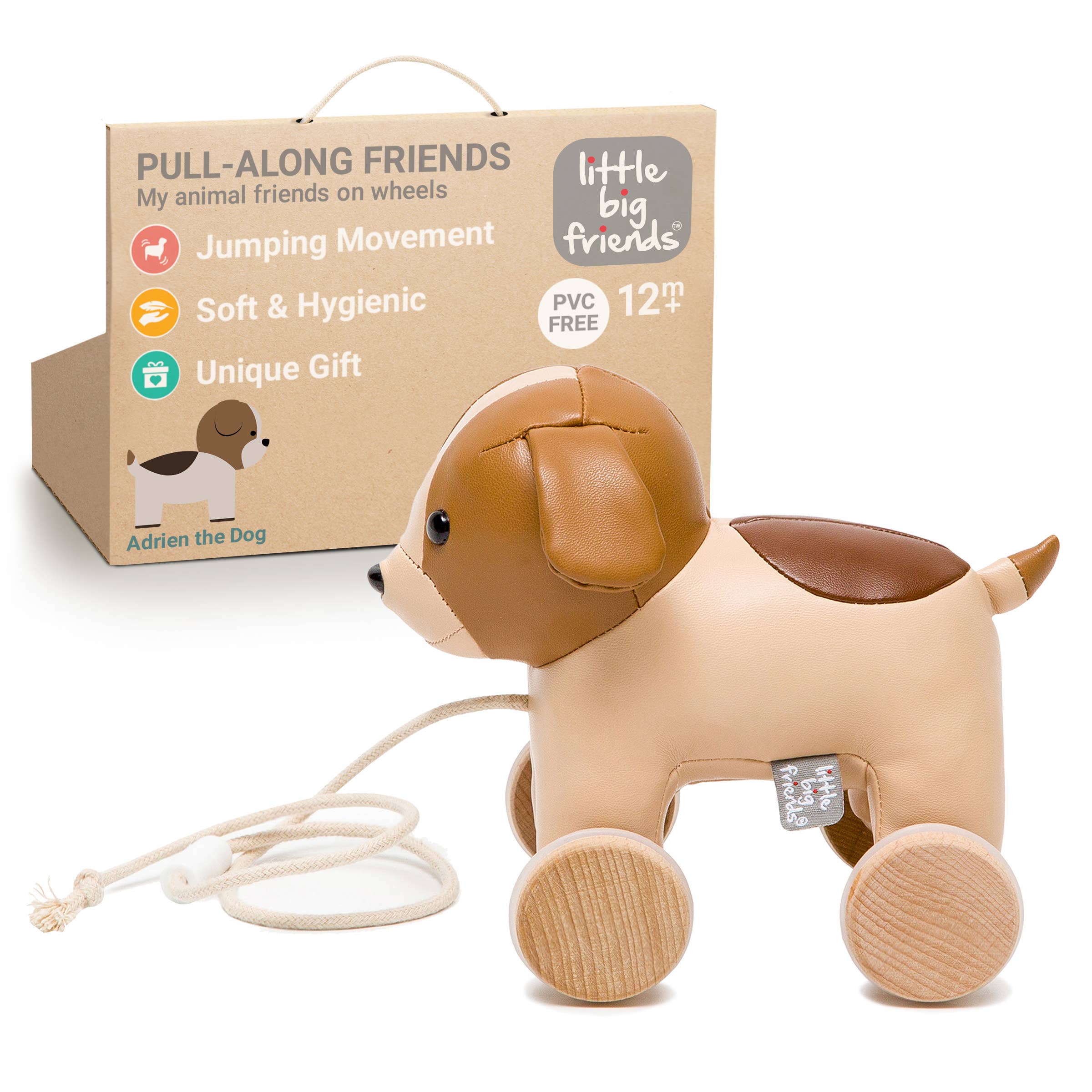 Pull Along Friends - Dog - Toy with Wheels