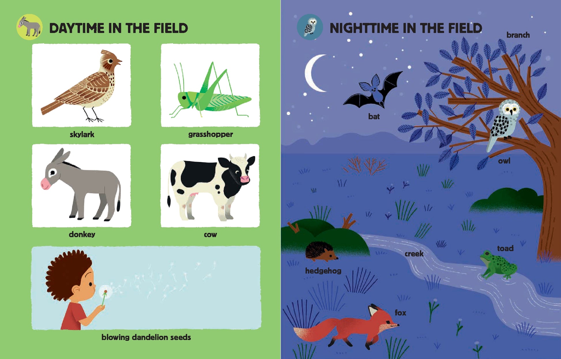 My Big Book of Nature Sounds