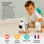 Pull Along Friends -Zebra|Toy with Wheels