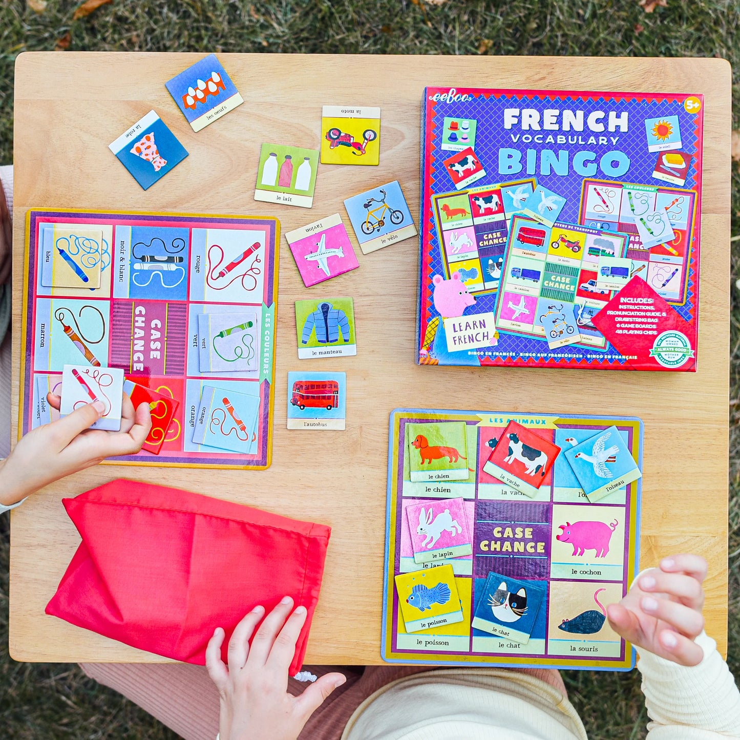 French Vocabulary Bingo