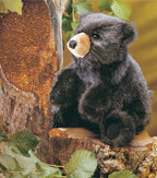 Baby Black Bear