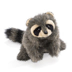 Baby Raccoon