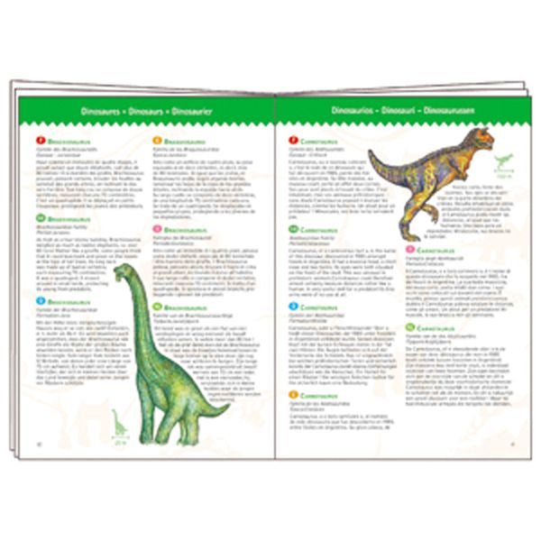Observation Puzzle / Dinosaurs / 100 Pcs