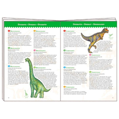 Observation Puzzle / Dinosaurs / 100 Pcs