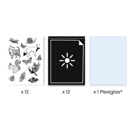 Cyanotype / Starter kit