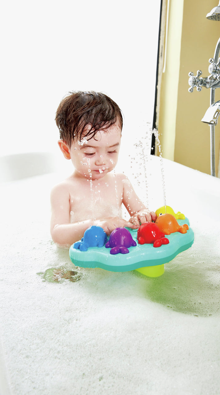 Musical Whale Fountain