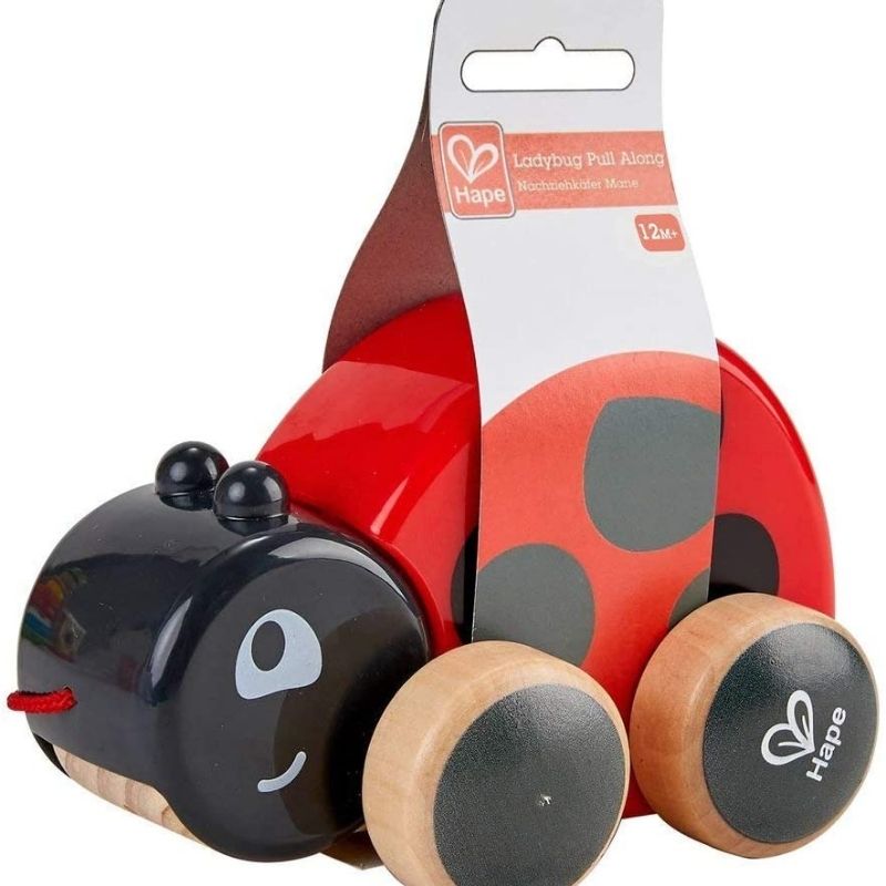 Ladybug Pull-Along
