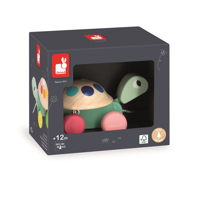 Zigolos - Pull-along Turtle