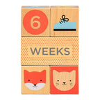 Wooden Milestone Baby Blocks