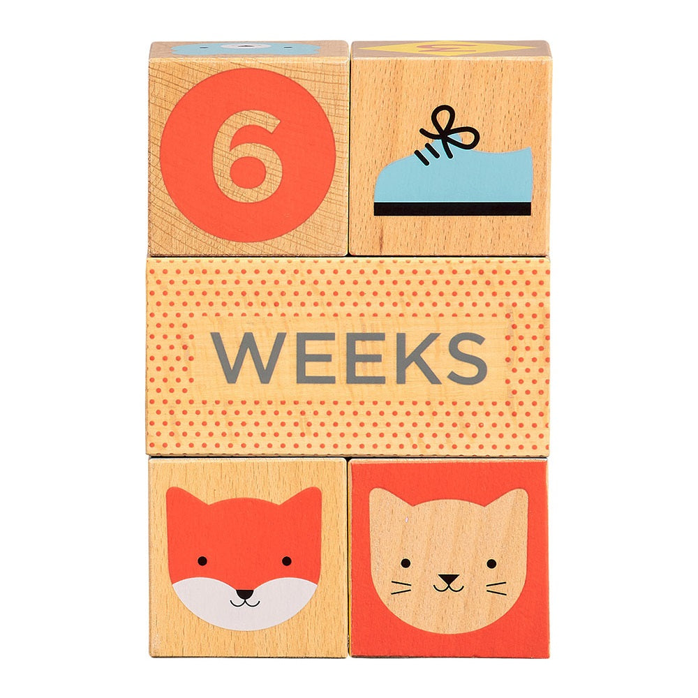 Wooden Milestone Baby Blocks