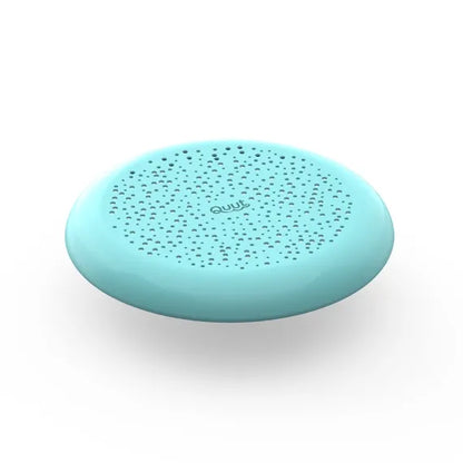 Flying Disc / Sand Sifter