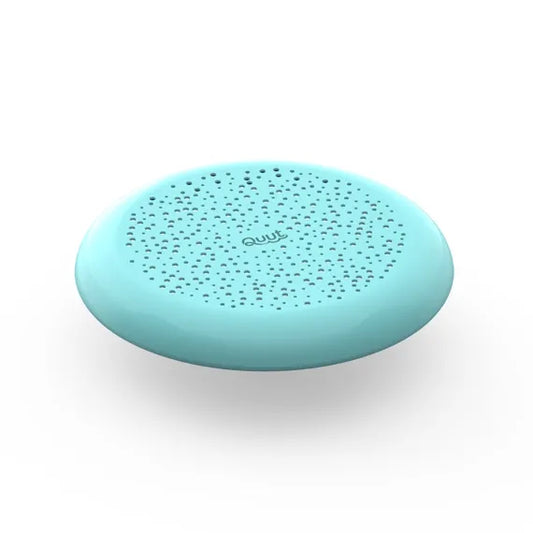 Flying Disc / Sand Sifter