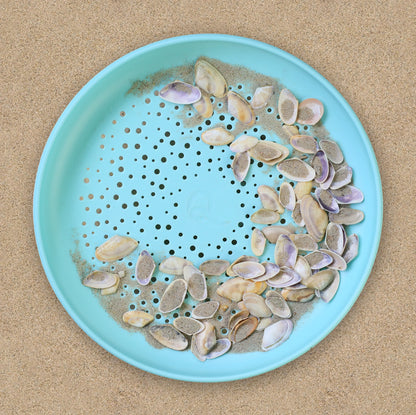Flying Disc / Sand Sifter
