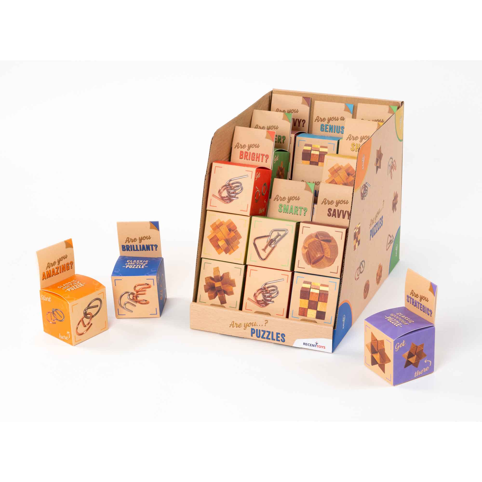 Are you..? Brain Puzzle - Assorted