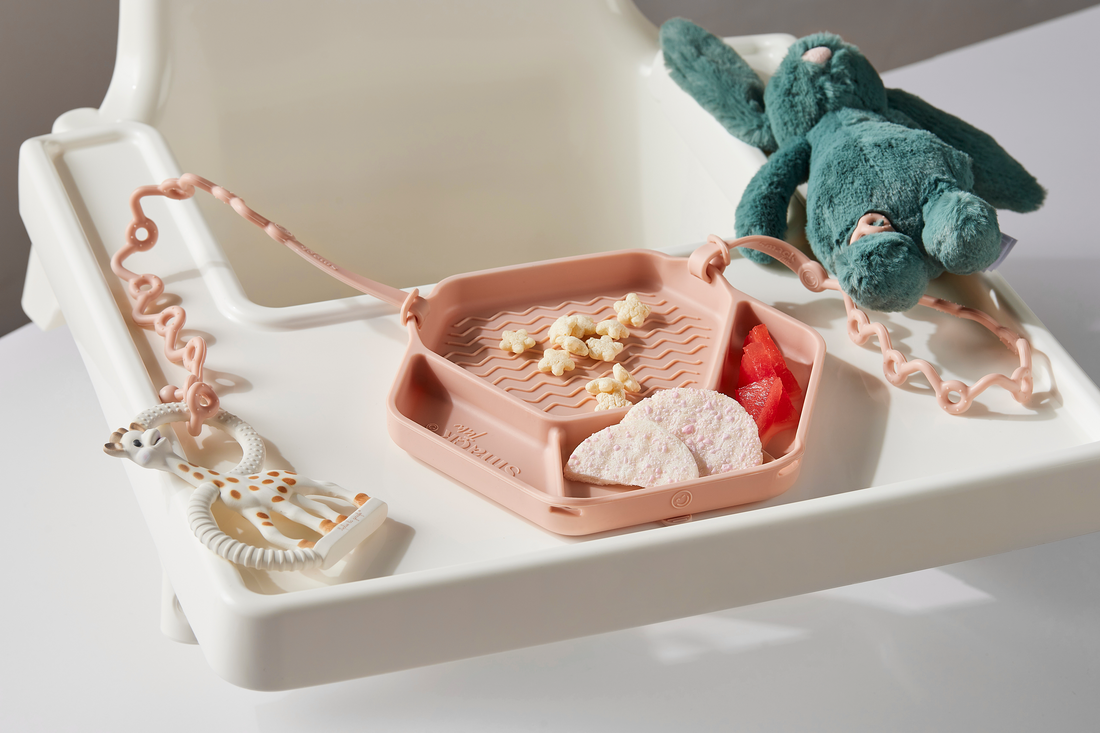 Smack Fun Fun Tray with 2-Straps