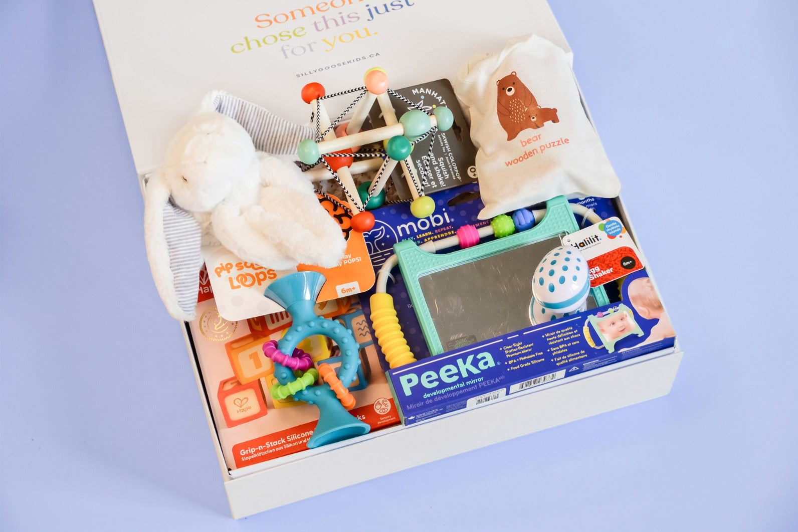 The Baby Toy Box