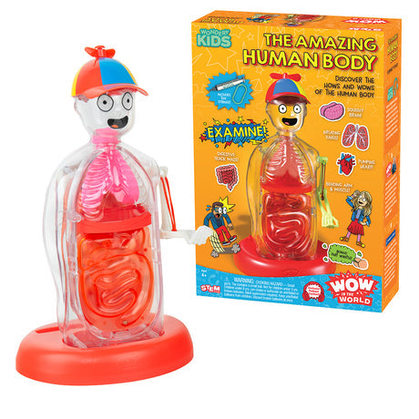 Wow in the World: The Amazing Human Body