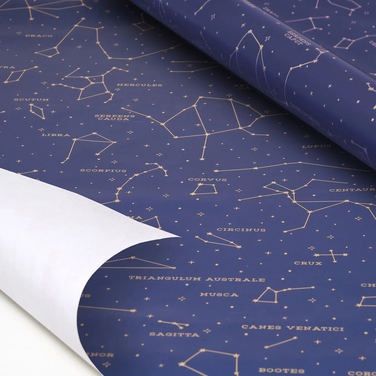 Legami - Gift Wrap Paper Roll