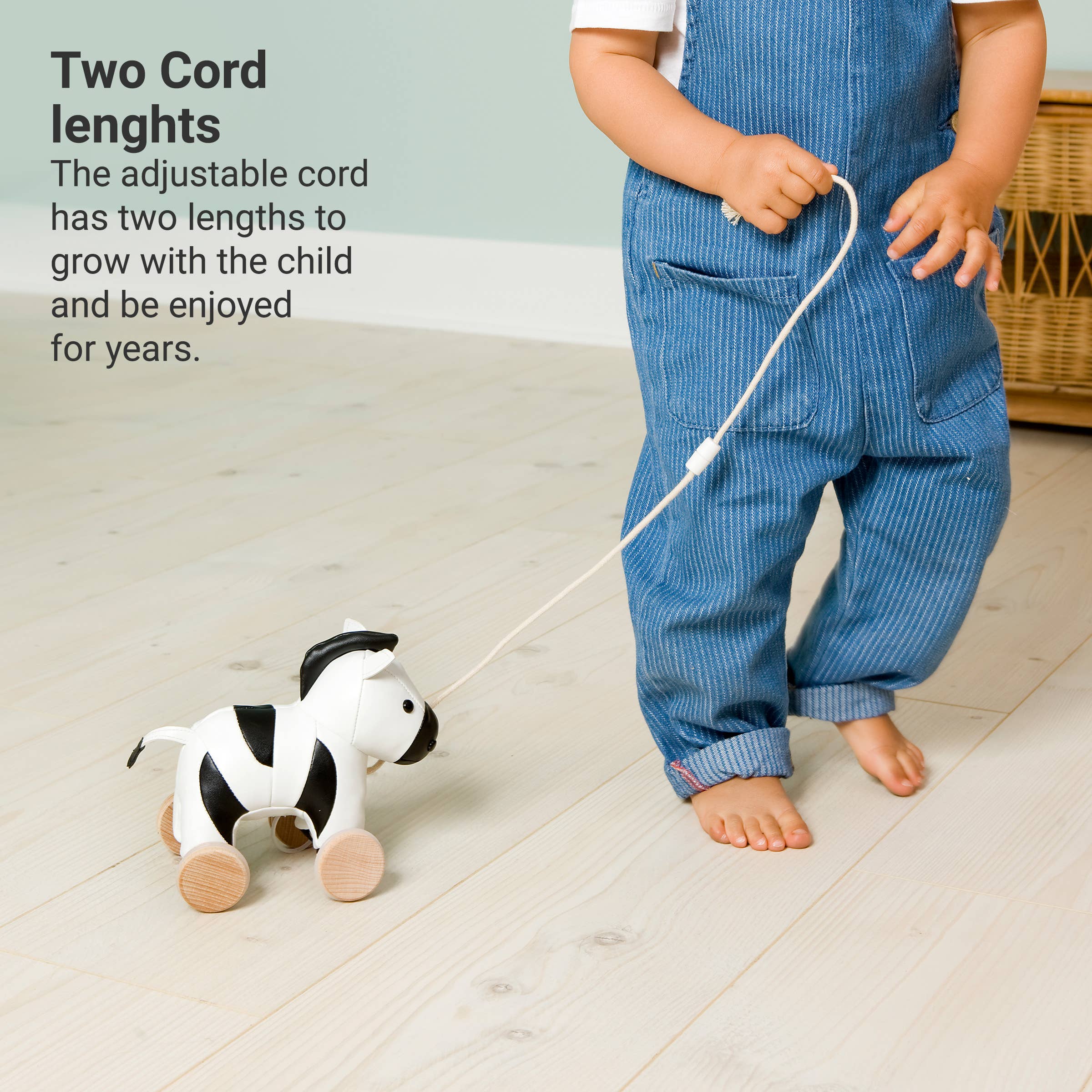 Pull Along Friends -Zebra|Toy with Wheels