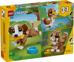 Cute Animals: Playful Puppy Dog