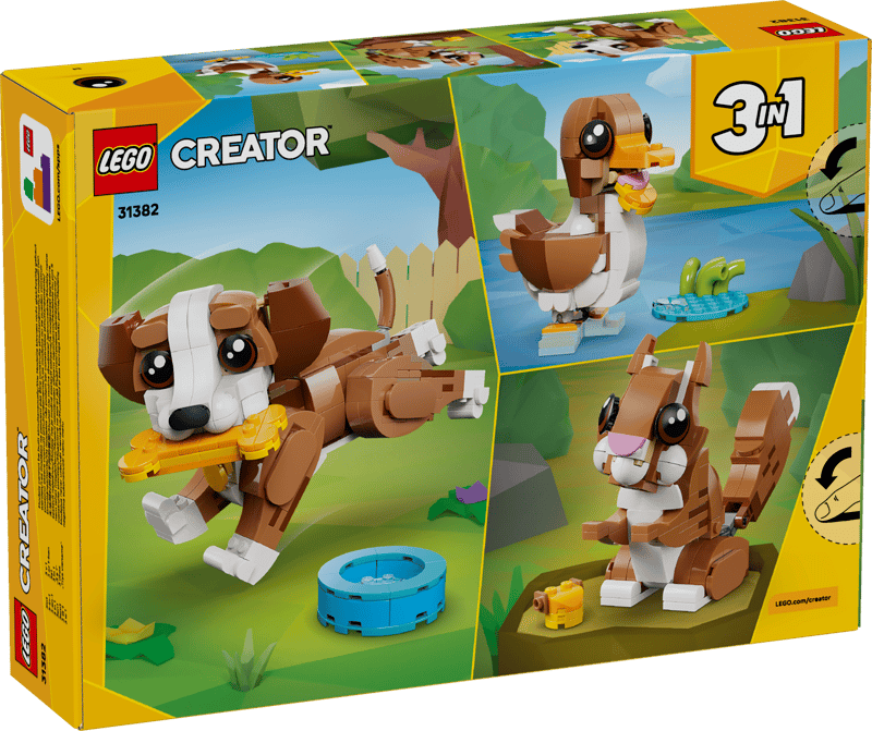 Cute Animals: Playful Puppy Dog