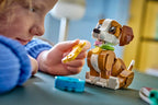 Cute Animals: Playful Puppy Dog