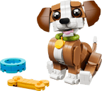 Cute Animals: Playful Puppy Dog