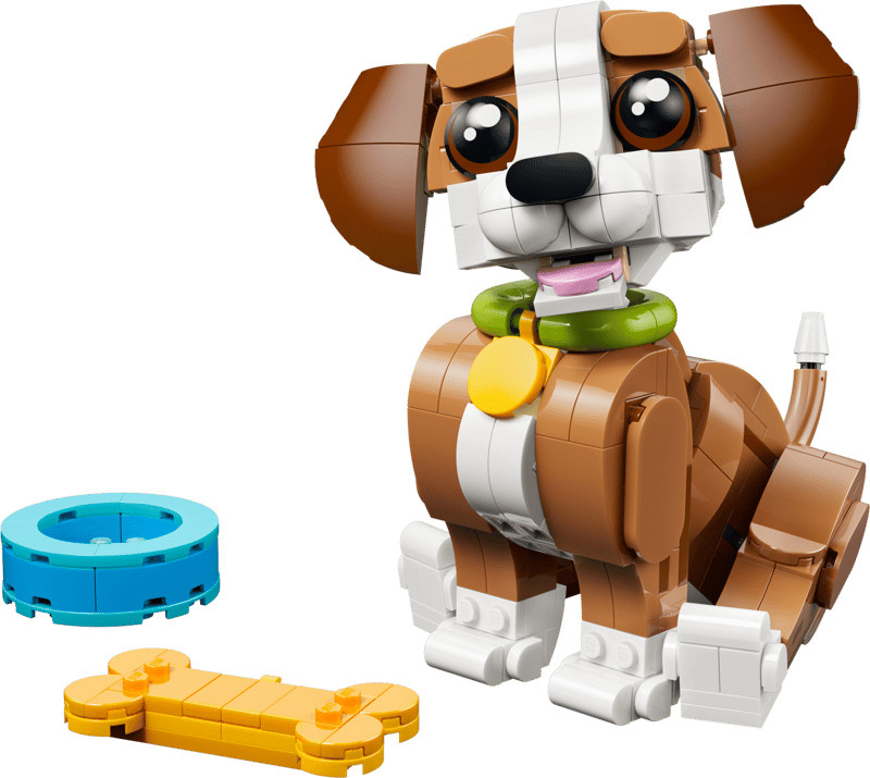 Cute Animals: Playful Puppy Dog