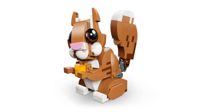 Cute Animals: Playful Puppy Dog