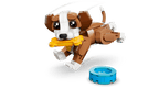 Cute Animals: Playful Puppy Dog