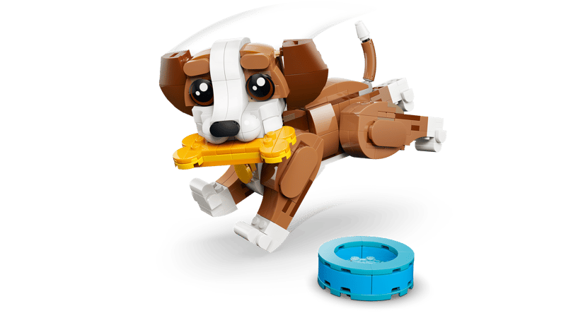 Cute Animals: Playful Puppy Dog