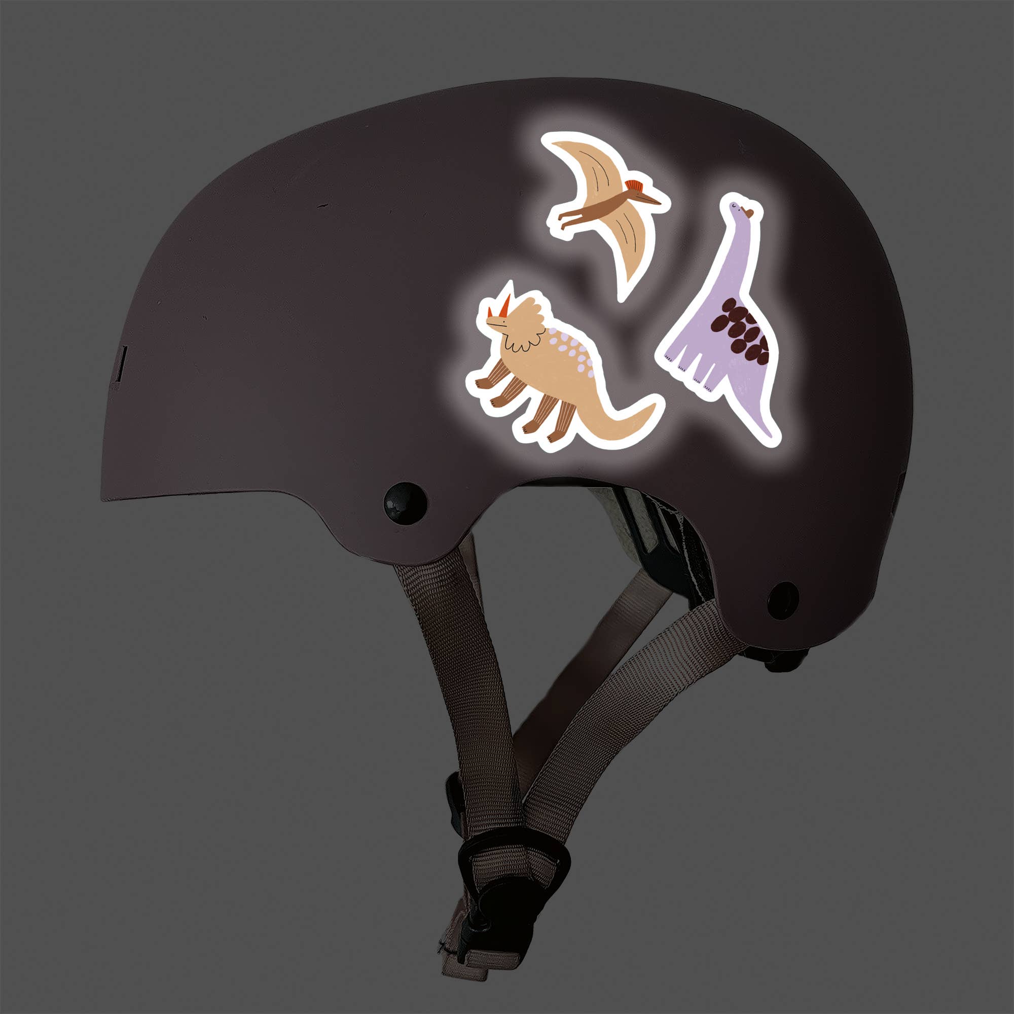 Dino Reflective Stickers