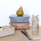 Recycled Plastic Bento Box