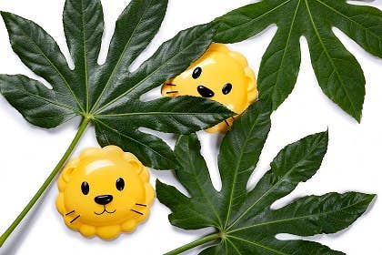 Snack Container - Lion