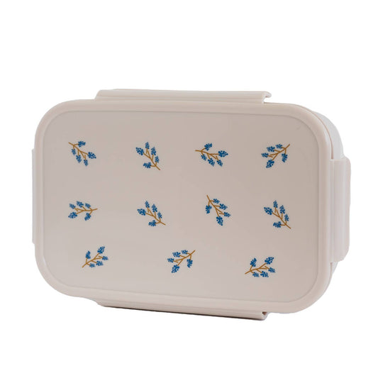 Recycled Plastic Bento Box