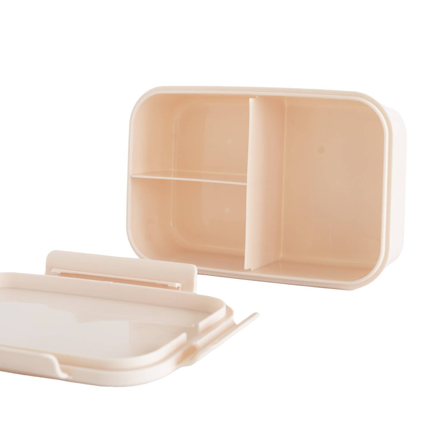 Recycled Plastic Bento Box