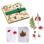 DIY / Budding Botanist : Press and Herbarium