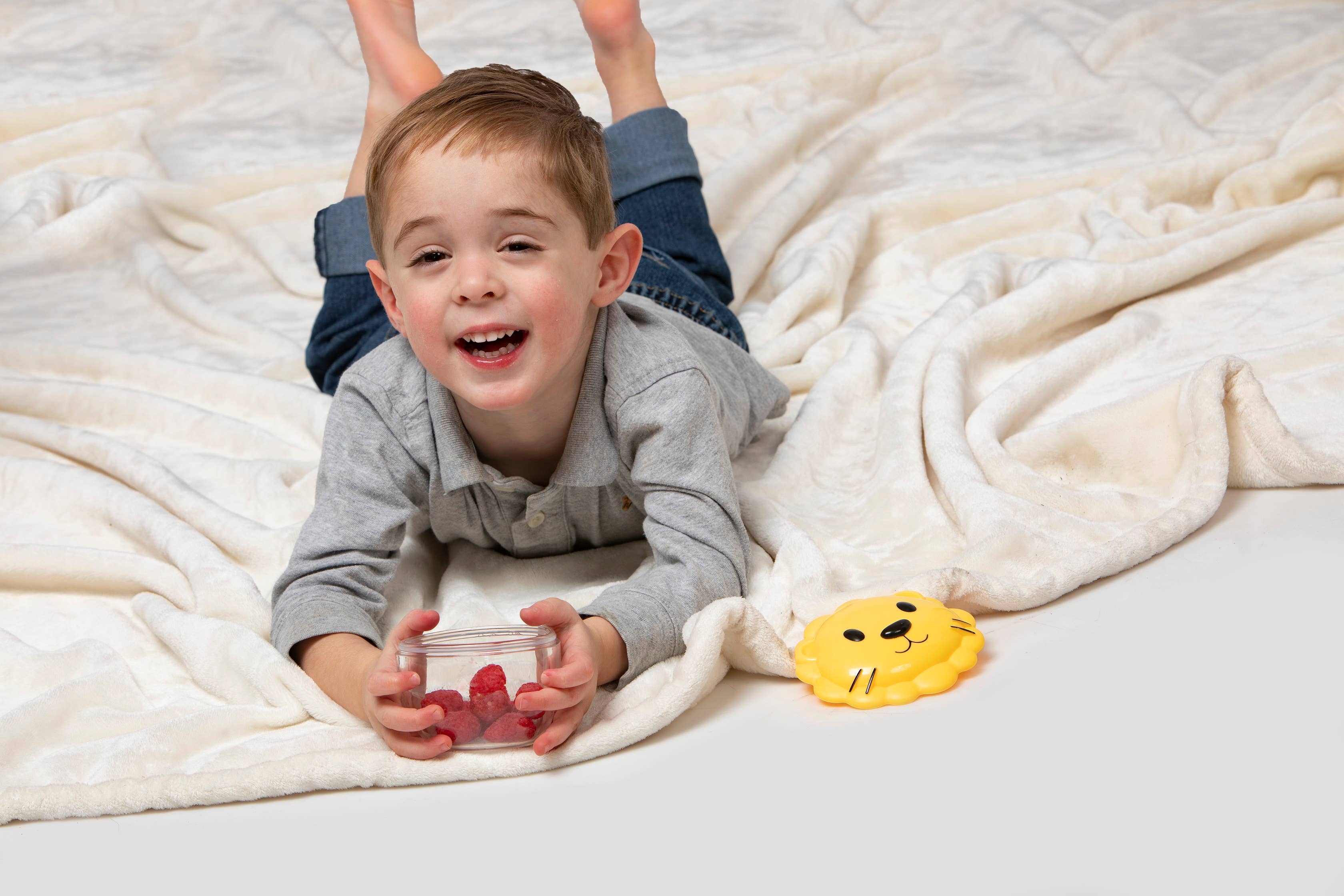 Snack Container - Lion