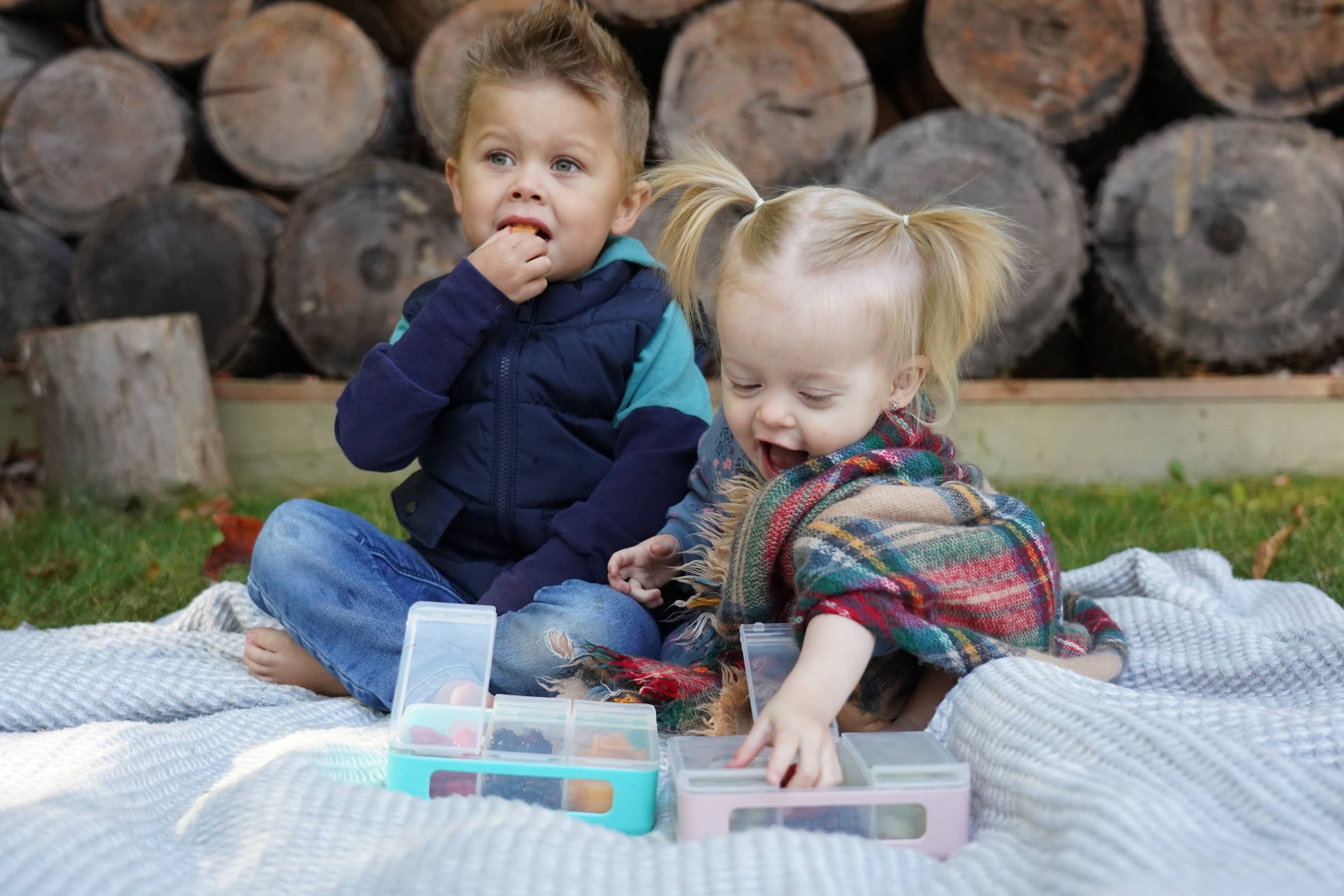 3 Compartment Snackle Box