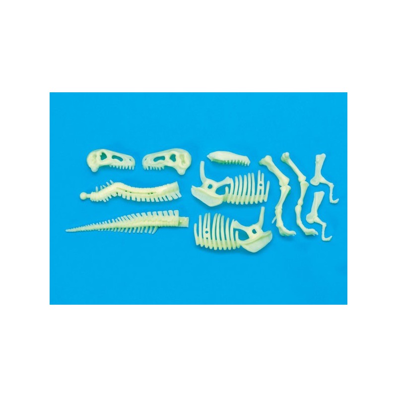 Glow Dinos T Rex Skeleton