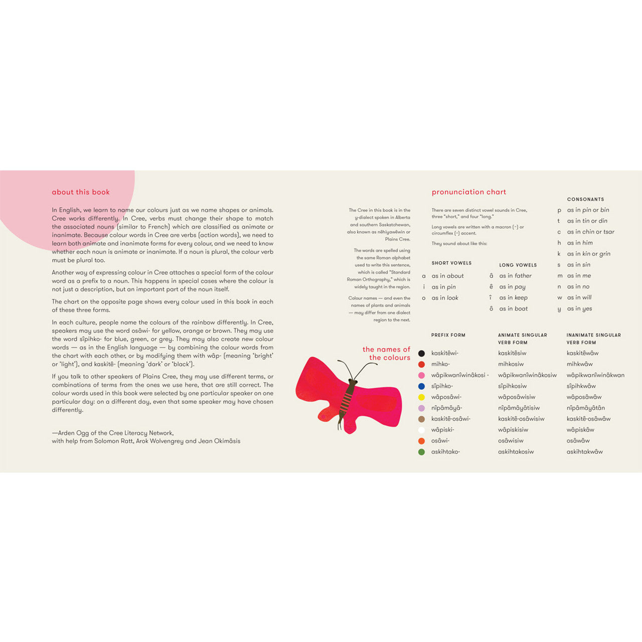 Black Bear Red Fox: Colours in Cree by Julie Flett