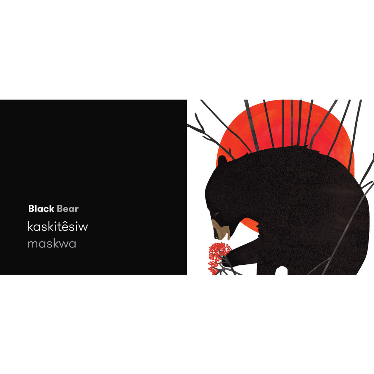 Black Bear Red Fox: Colours in Cree by Julie Flett