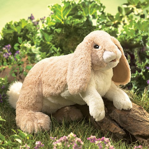 Floppy Bunny Rabbit
