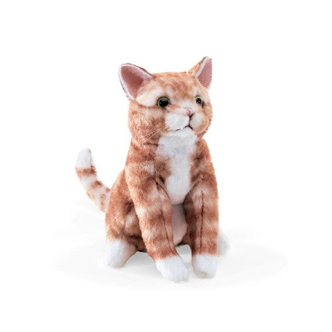 Orange Tabby Mini Cat